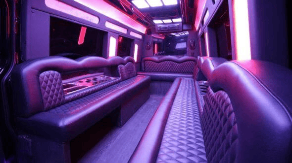 28 Passenger Mini bus Rental